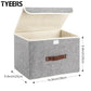 Collapsible Storage Boxes (2 Count)