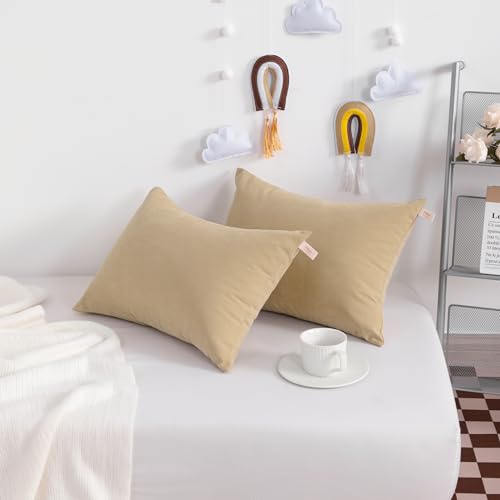 Tiny Pillows Set of 2 (2 Count)