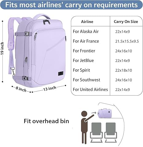 Light Purple Carryon Backpack