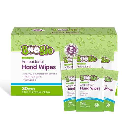 Antibacterial Hand Wipes (30 Count)
