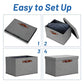 Storage Bins with Lids 2 (2 Count)
