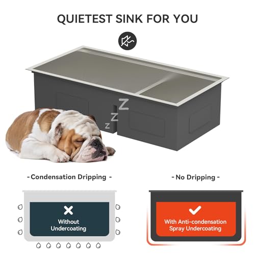 36 Inch Double Bowl Kitchen Sink Ledge Workstation Sinks Double Bowl 60