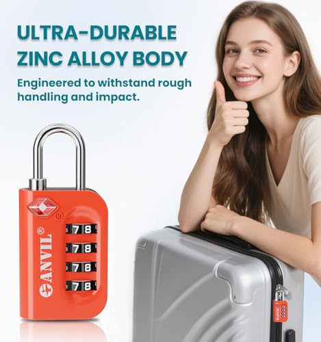 TSA Approved Luggage Lock (2 Count)