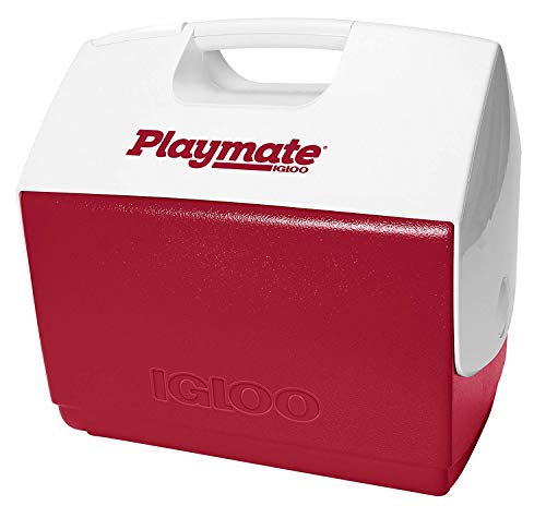 Playmate