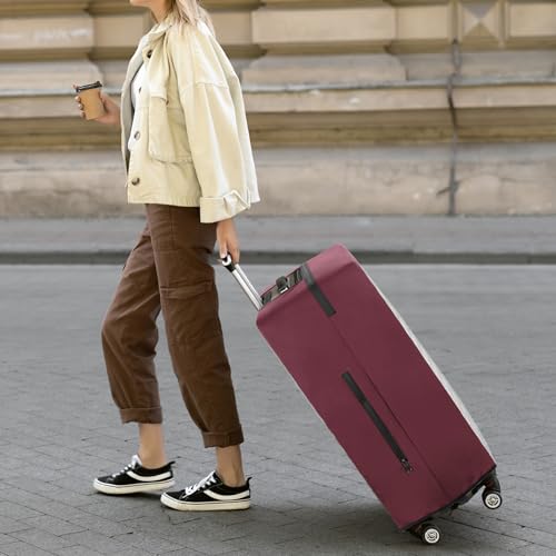 Clear Luggage Cover