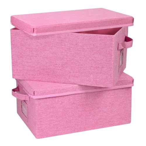 Storage Bins With Lids Closet Organizer Cabinet Box For Clothes (2 Count)