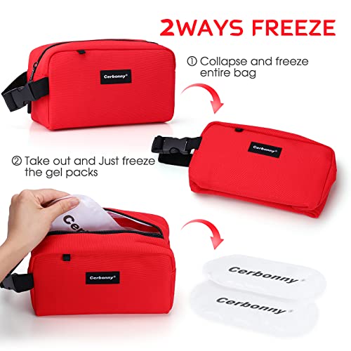 Small Insulated Bag