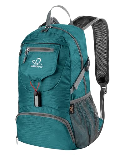 Small Lightweight Packable Backpack