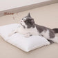 Toddler Pillows (2 Count)