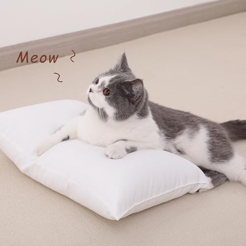 Tiny Pillows Set of 2 (2 Count)