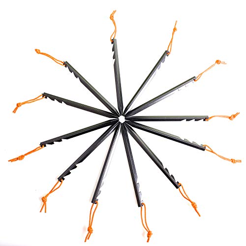Aluminum Alloy Tent Stakes Pegs (12 Count)