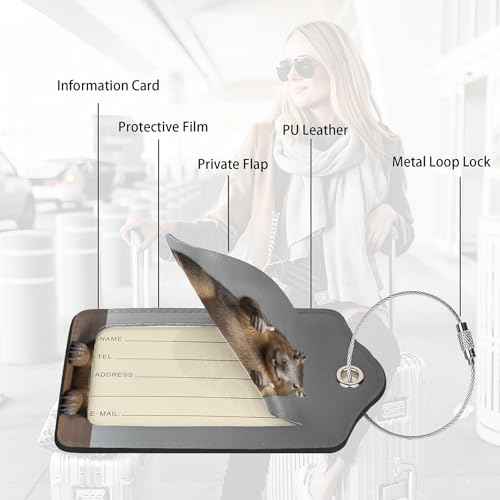 2 Pack Luggage Tags for suitcases Capybara Hamster TSA Approved Label Luggage Tag Baggage Tag Leather Stainless Steel Loop Label Tag for Men Women Travel Bag Suitcase (2 Count)