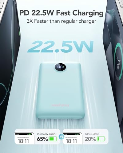 Mini Portable Charger with Built