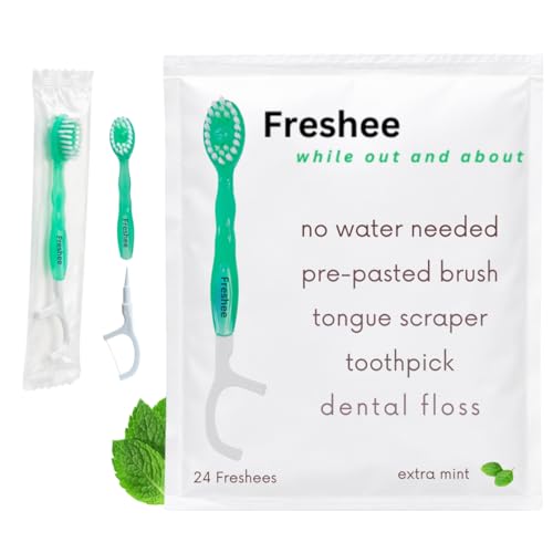 Disposable Toothbrushes with Toothpaste (24 Count)