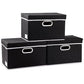 Foldable Storage Box with Lid [3 (3 Count)