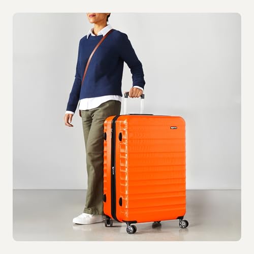30" Hardside Large Checked Luggage