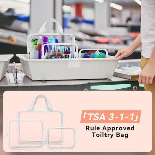10 PCS Clear Travel Bags for Toiletries (10 Count)