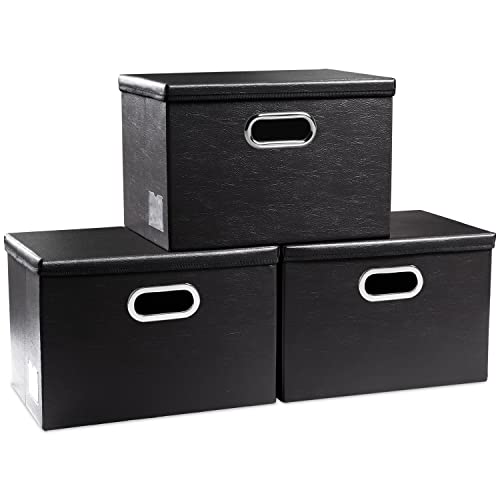Collapsible Storage Bins with Lids [3 (3 Count)