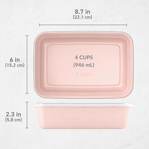 Prep 1 Compartment Meal Prep Containers with Lids (10 Count)