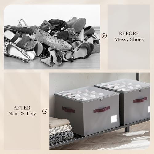 Shoe Organizer for Closet (2 Count)