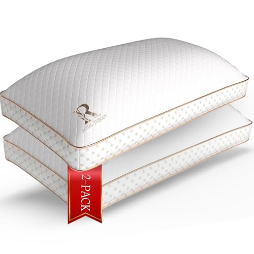 2 Pack King Memory Foam Pillow (2 Count)