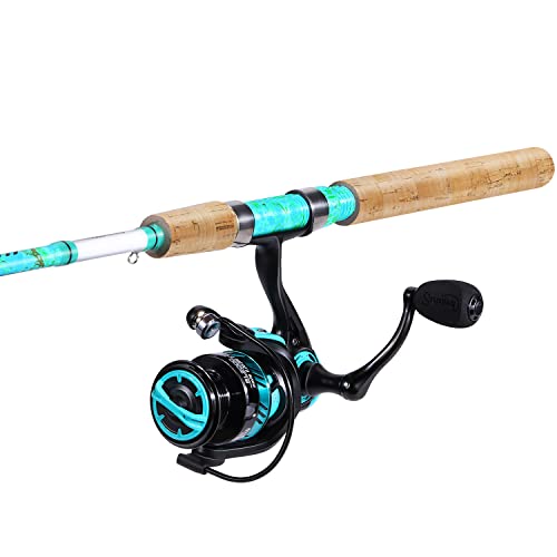 Spinning Fishing Rod Combo