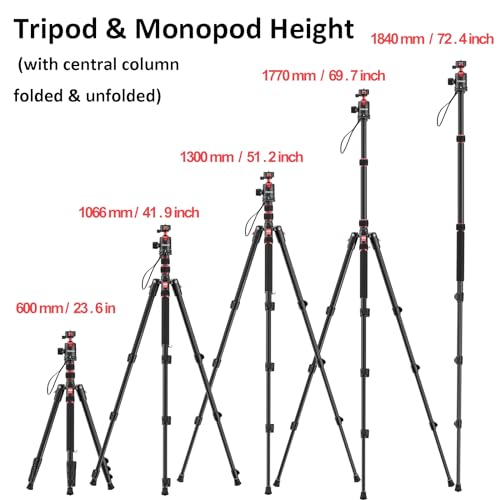 TT31 72.4" Claw Quick Release Aluminum Camera Tripod & Monopod