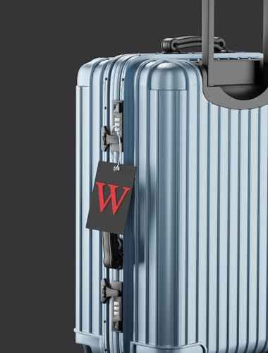 2 Pack Initial Luggage Tags for Suitcases Airplane Travel Essentials (2 Count)