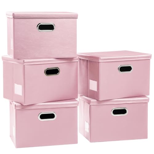 Foldable Storage Bins with Lids [5 (5 Count)