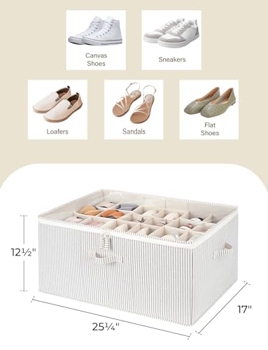 Shoe Organizer for Closet