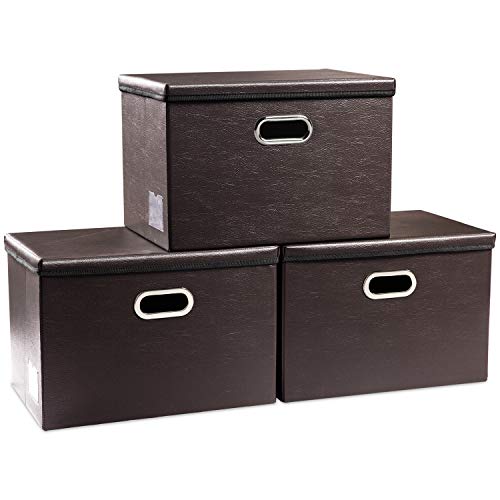 Collapsible Storage Bins with Lids [3 (3 Count)