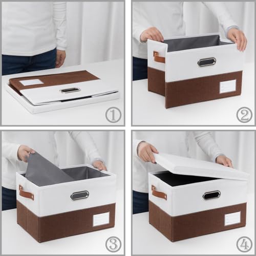 Foldable Storage Bins with Lids [3 (3 Count)