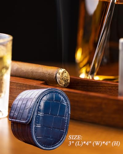 Single Watch Travel Case