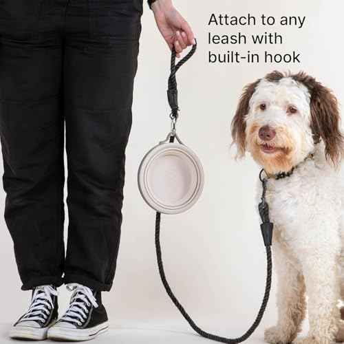 Nomad Large Collapsible Travel Dog Bowl