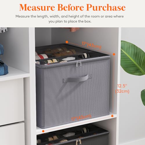 Shoe Storage Organizer for Closet