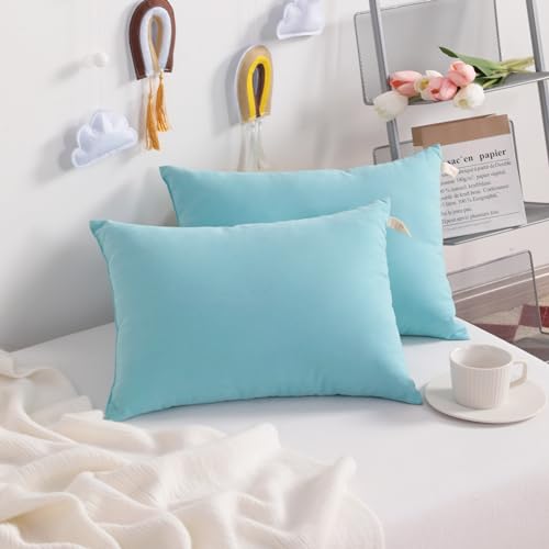 Toddler Pillows (2 Count)
