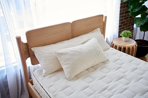 Organic Latex Pillow