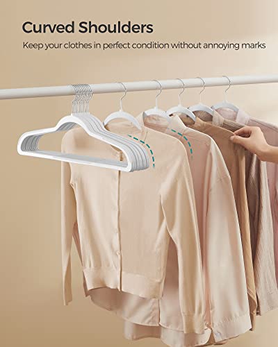 Plastic Clothes Hangers (50 Count)