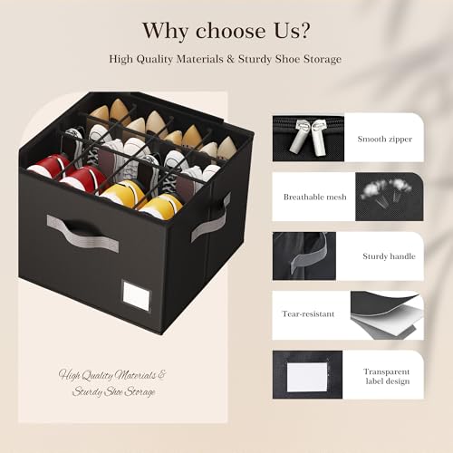 Shoe Organizer for Closet (2 Count)