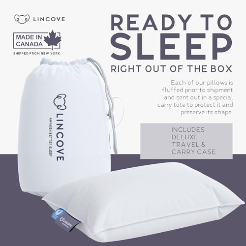Canadian Down Toddler Pillow for Sleeping