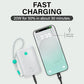 Champ Portable Charger