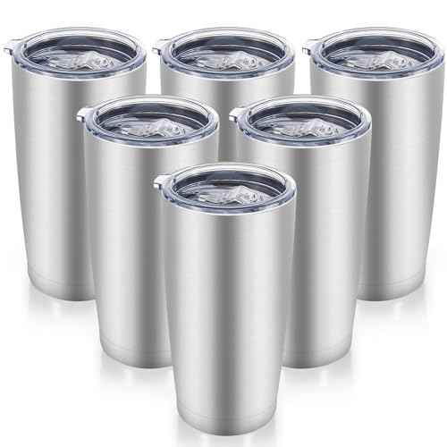 20 oz Tumblers Bulk Stainless Steel Tumbler with Lid (6 Count)