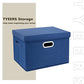 Large Storage Bins with Lids (3 Count)