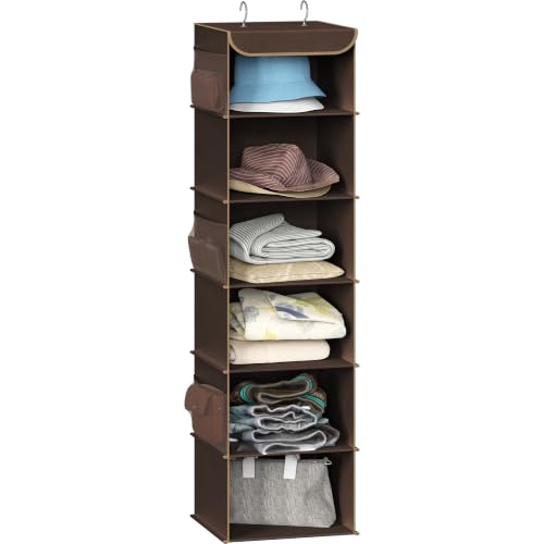 6 Shelf Hanging Closet Organizer