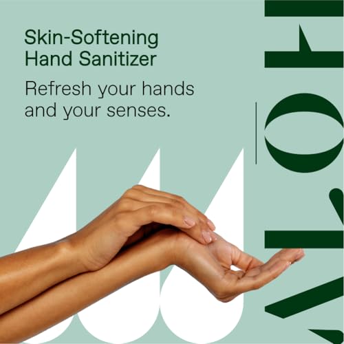 ALŌH Travel Size Hand Sanitizer Spray Variety Pack (6 Fl Oz)