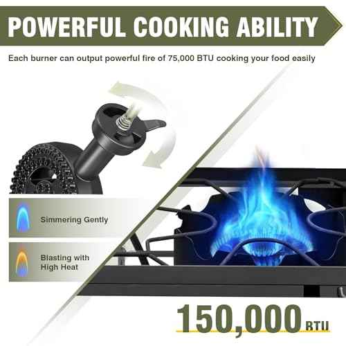 2 Burner Camping Stove