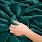 Travel Blanket and Pillow