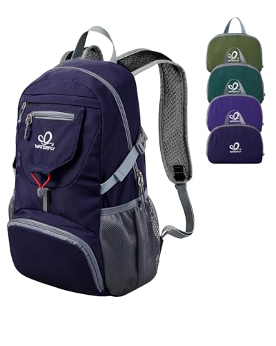 Small Lightweight Packable Backpack