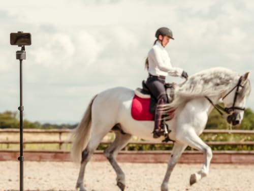 Equestrian Pod Auto Face