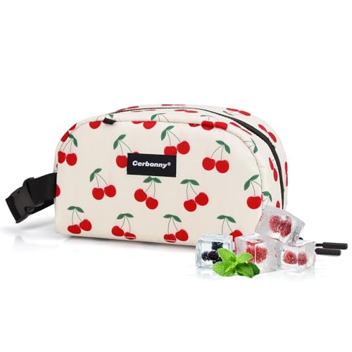 Small Cooler Bag
